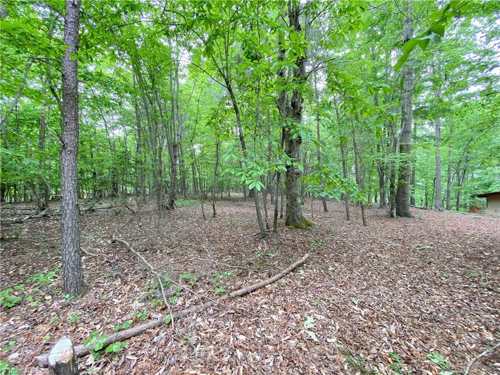 539 Jarvis Plantation Road Dobson, NC 27017 - Photo 10 of 36 Gallery Image 10