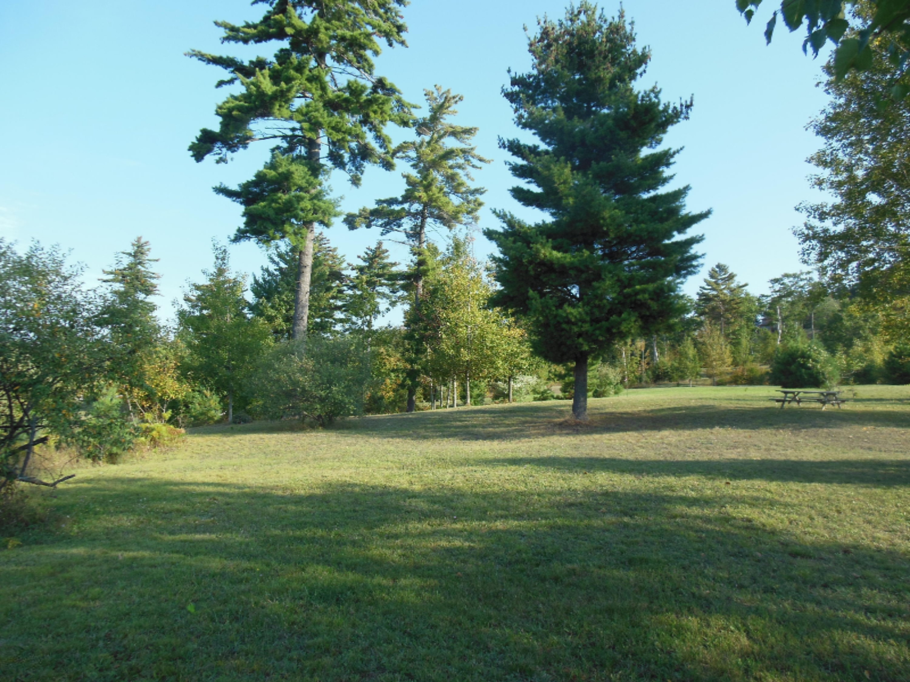 Lot # Starlight Ridge Circle Onekama, MI 49675 - Photo 3 of 13 DSCN2727