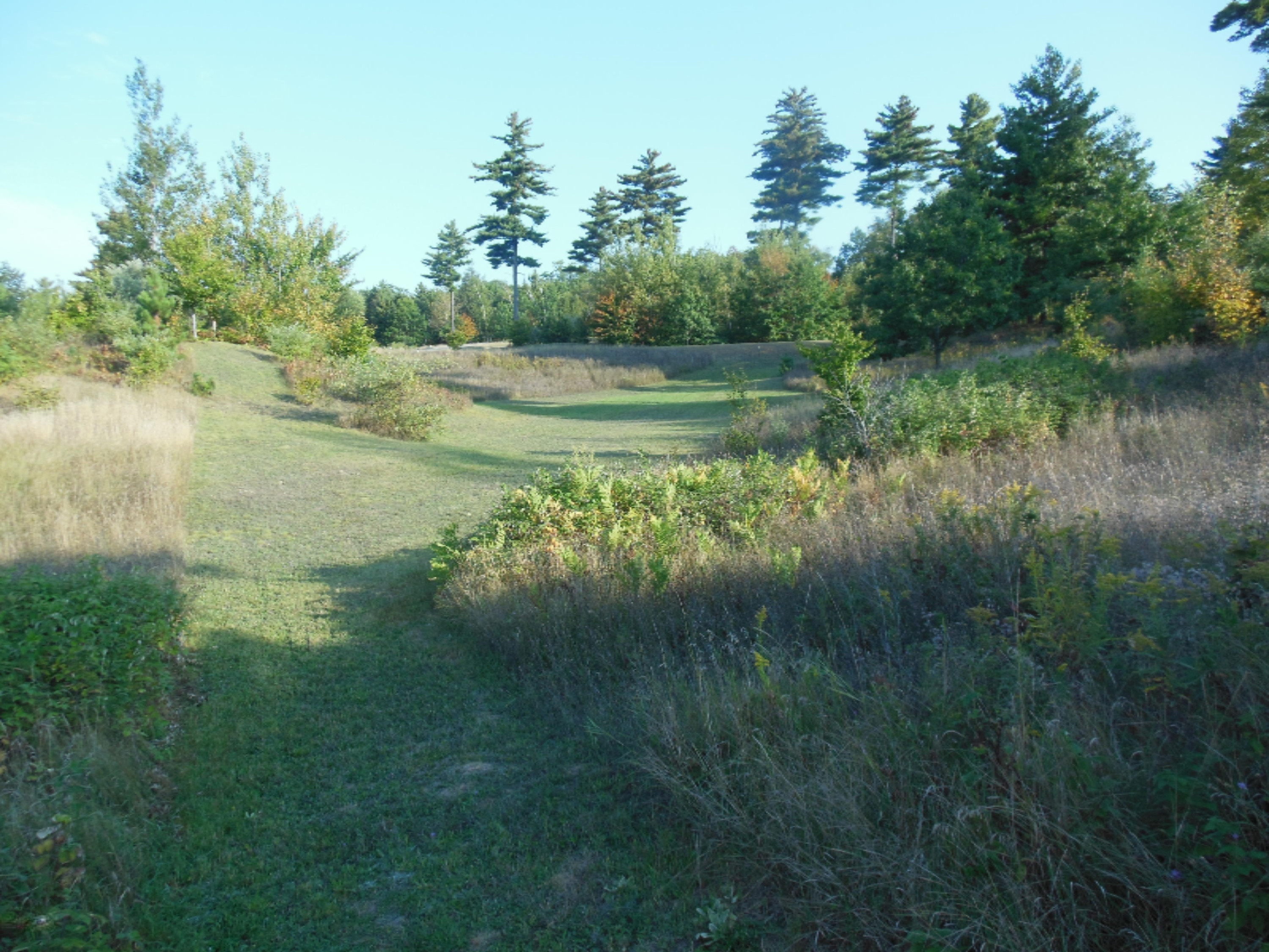 Lot # Starlight Ridge Circle Onekama, MI 49675 - Photo 8 of 13 DSCN2724