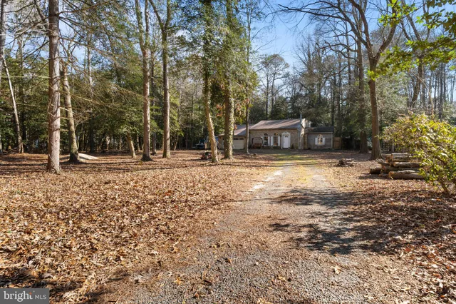 a house with trees in front of it