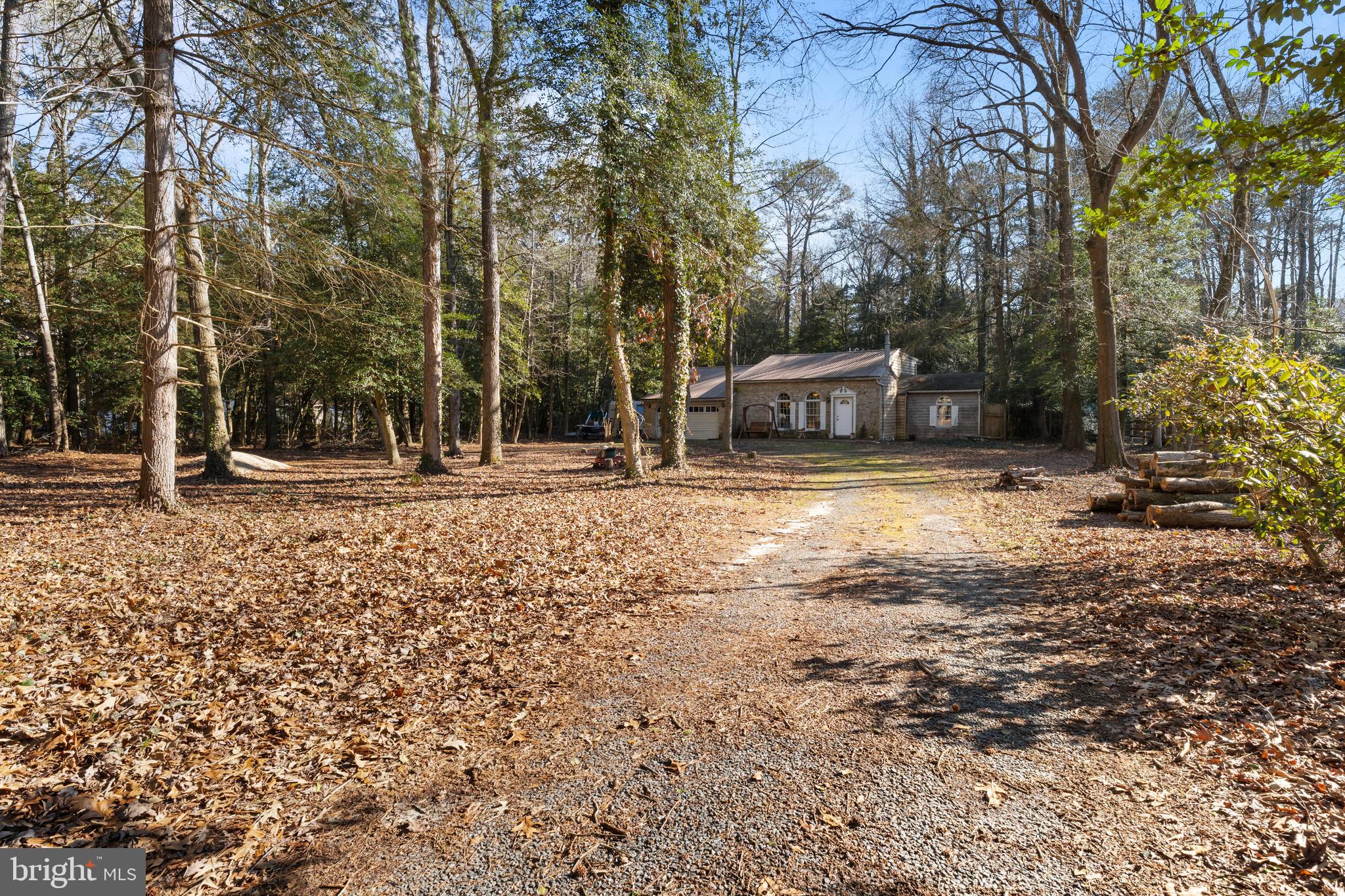13640 Collins Pond Road East Georgetown, DE 19947 - Photo 3 of 41 a house with trees in front of it