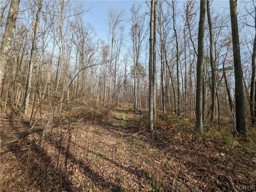 0 Wolf Run Road Campbell, NY 14821 - Photo 13 of 26
