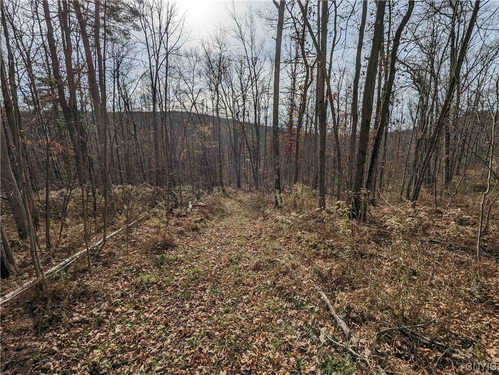 0 Wolf Run Road Campbell, NY 14821 - Photo 14 of 26