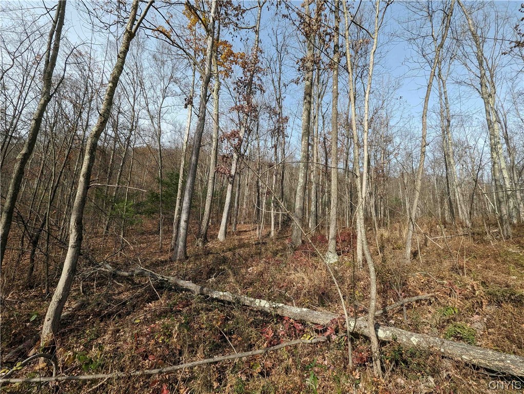 0 Wolf Run Road Campbell, NY 14821 - Photo 15 of 26
