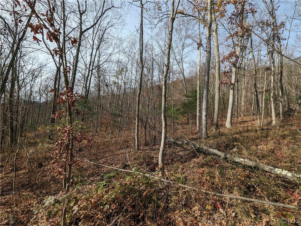 0 Wolf Run Road Campbell, NY 14821 - Photo 16 of 26