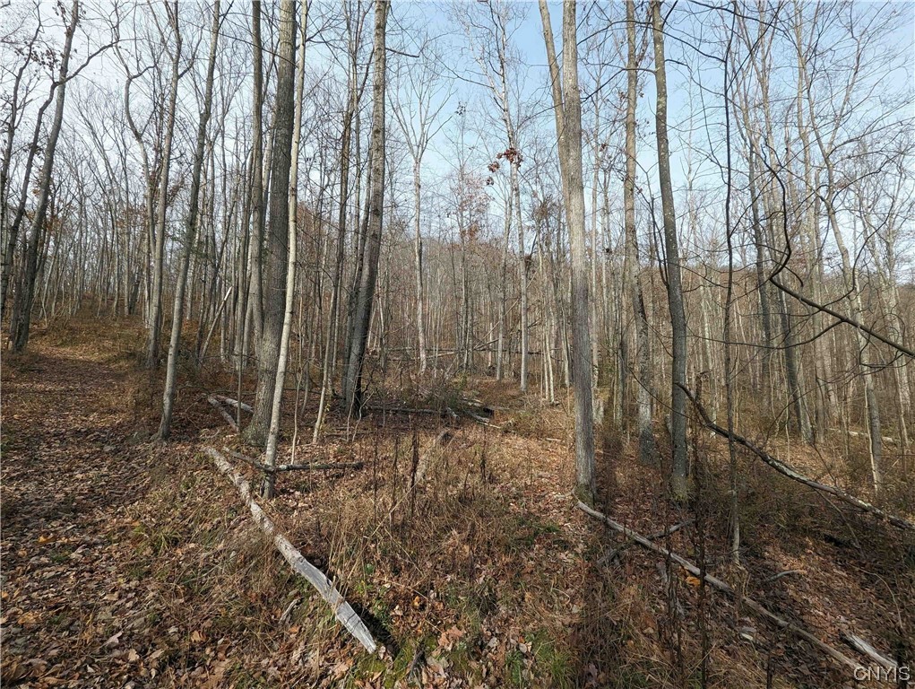 0 Wolf Run Road Campbell, NY 14821 - Photo 18 of 26