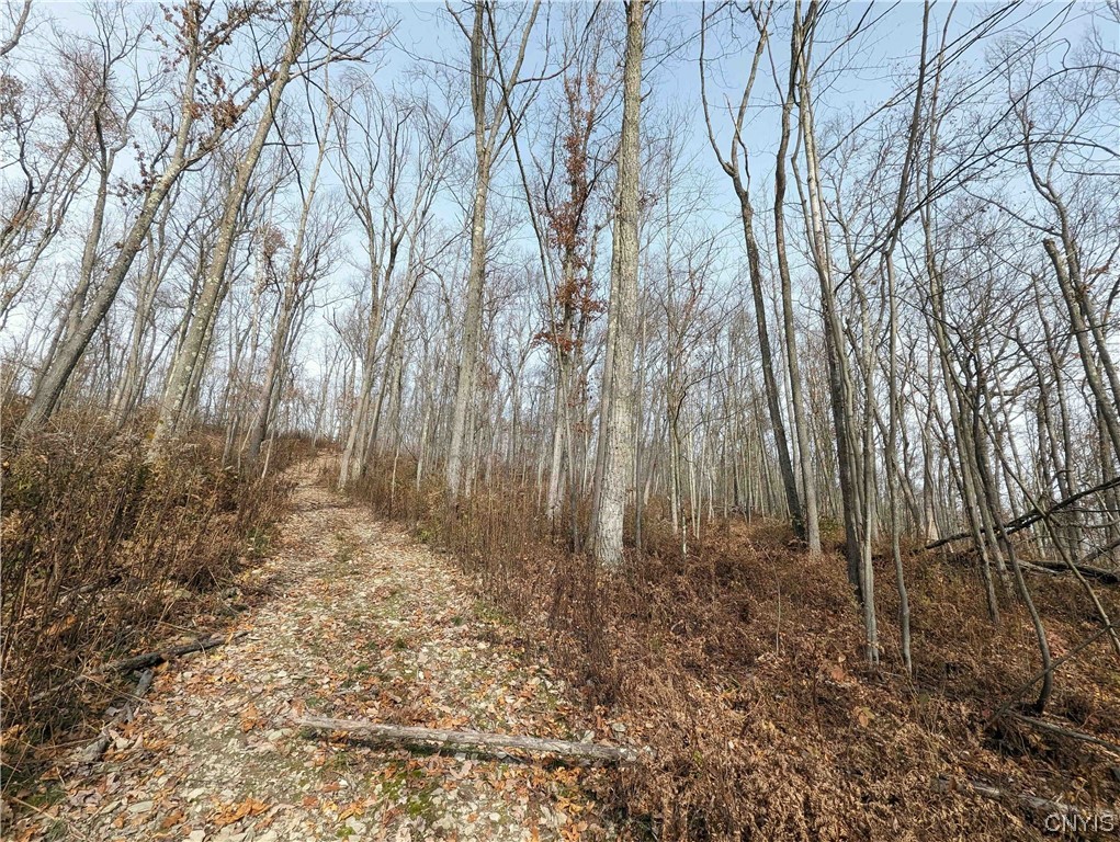 0 Wolf Run Road Campbell, NY 14821 - Photo 19 of 26