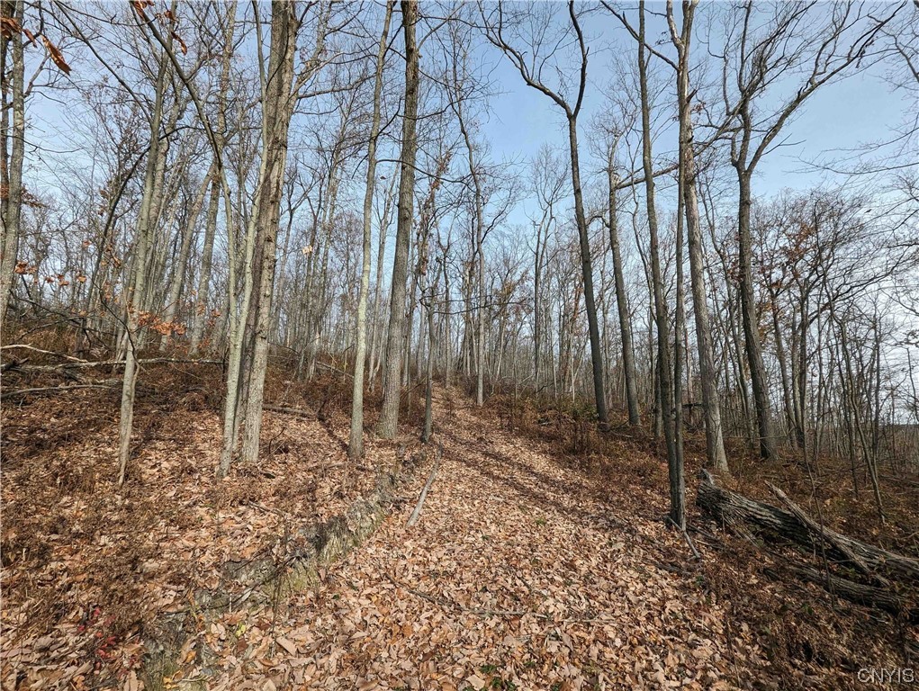 0 Wolf Run Road Campbell, NY 14821 - Photo 21 of 26