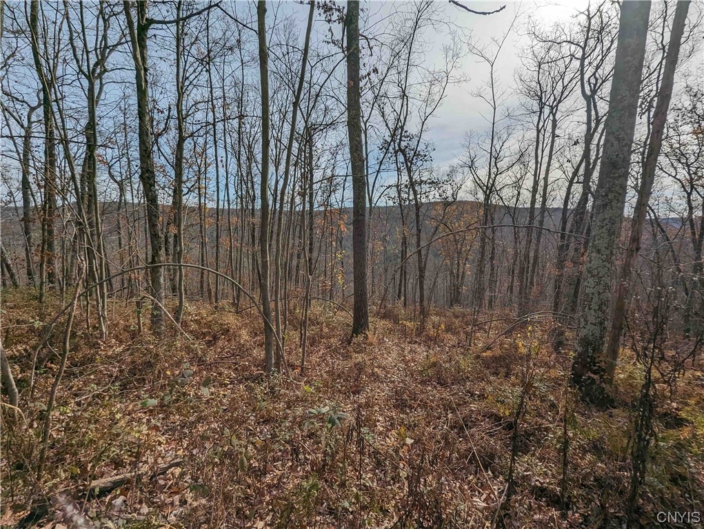 0 Wolf Run Road Campbell, NY 14821 - Photo 22 of 26