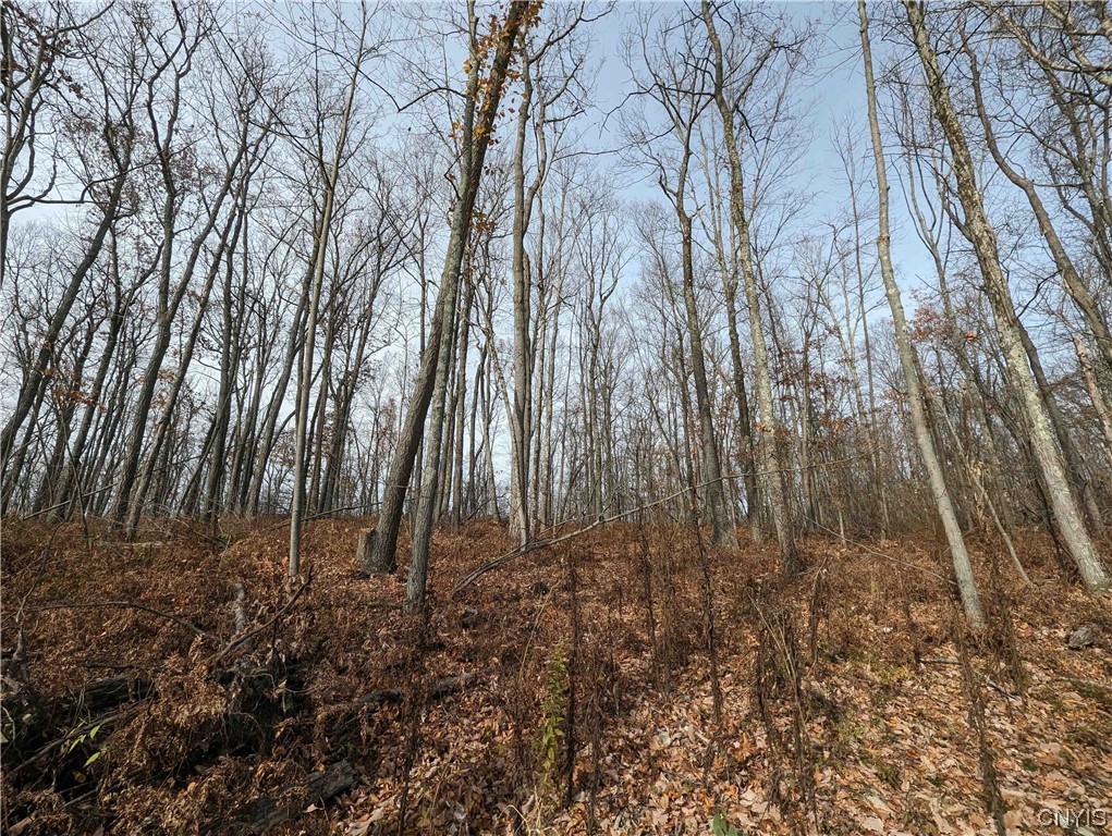 0 Wolf Run Road Campbell, NY 14821 - Photo 24 of 26