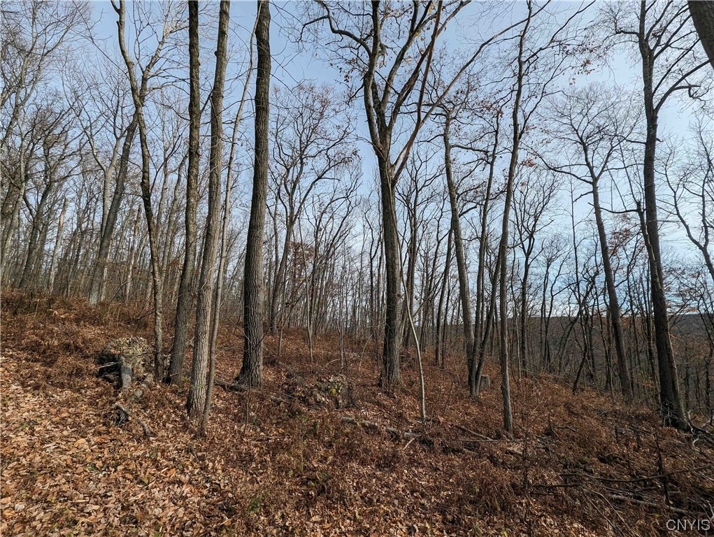 0 Wolf Run Road Campbell, NY 14821 - Photo 25 of 26