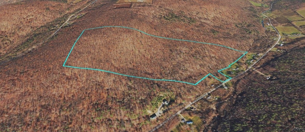 0 Wolf Run Road Campbell, NY 14821 - Photo 26 of 26