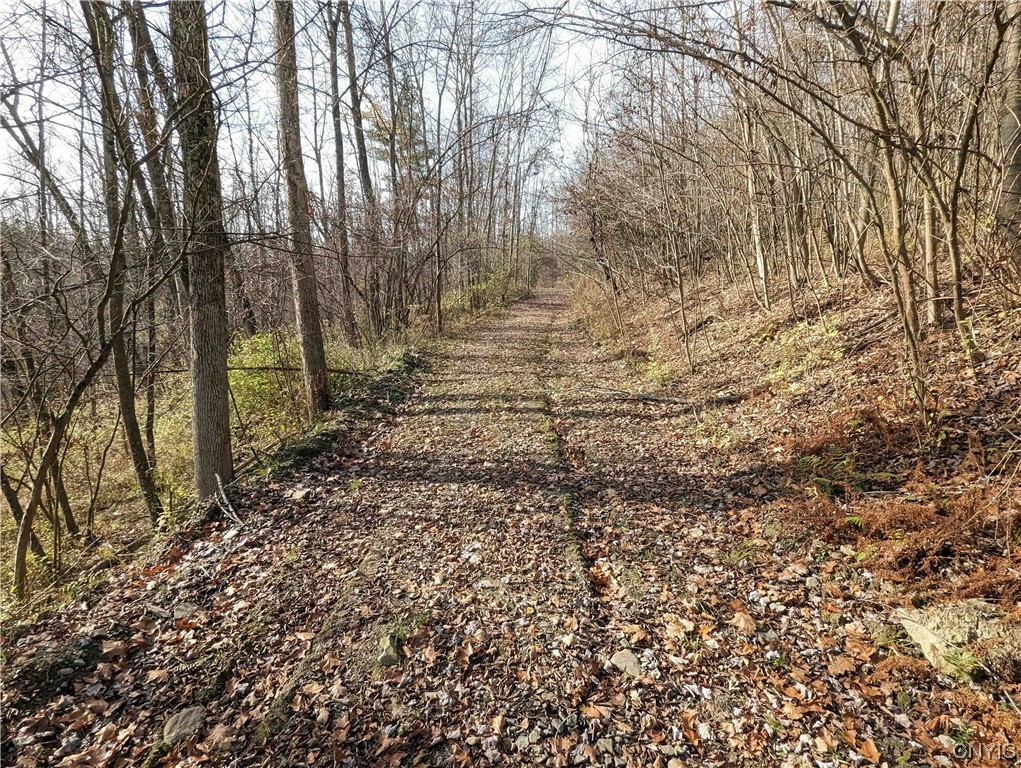 0 Wolf Run Road Campbell, NY 14821 - Photo 4 of 26