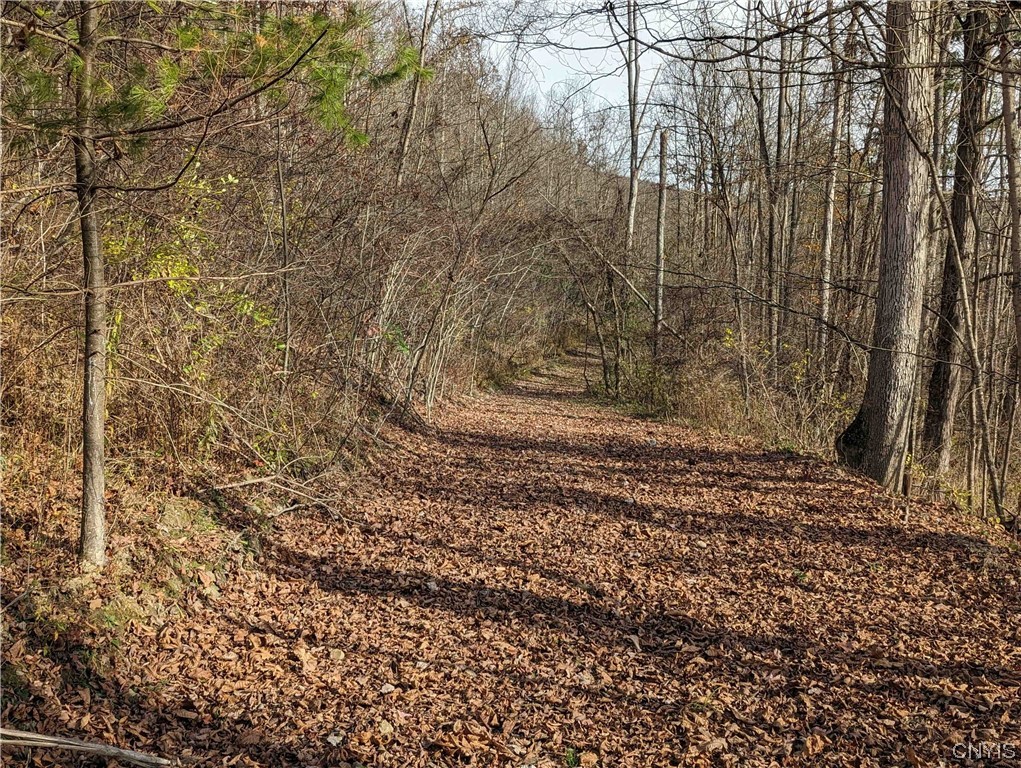 0 Wolf Run Road Campbell, NY 14821 - Photo 5 of 26