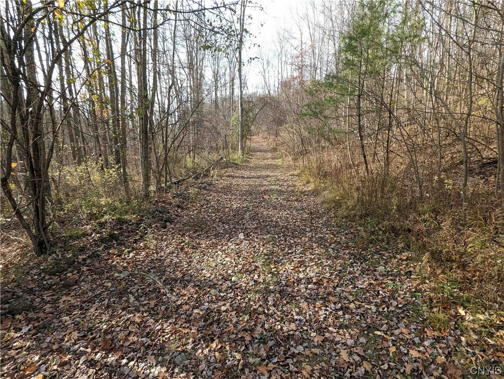 0 Wolf Run Road Campbell, NY 14821 - Photo 7 of 26
