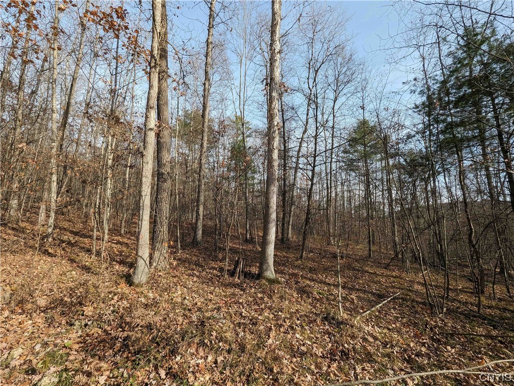 0 Wolf Run Road Campbell, NY 14821 - Photo 8 of 26