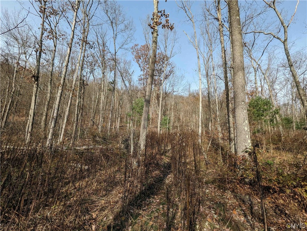 0 Wolf Run Road Campbell, NY 14821 - Photo 9 of 26