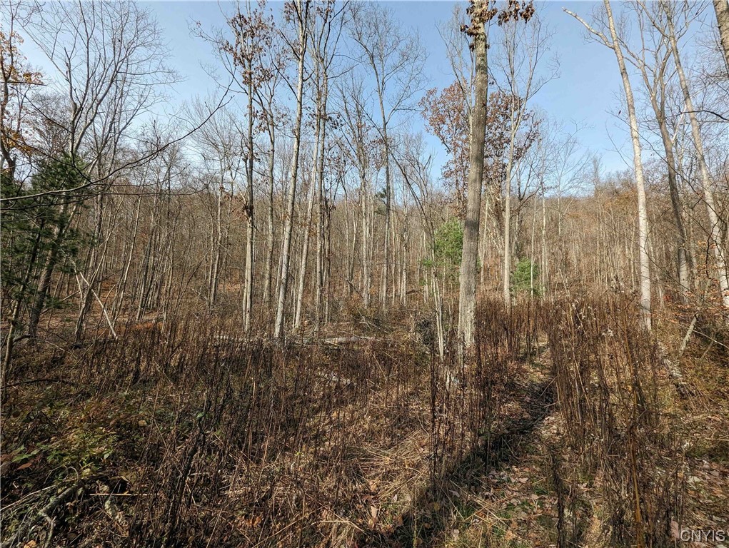 0 Wolf Run Road Campbell, NY 14821 - Photo 10 of 26