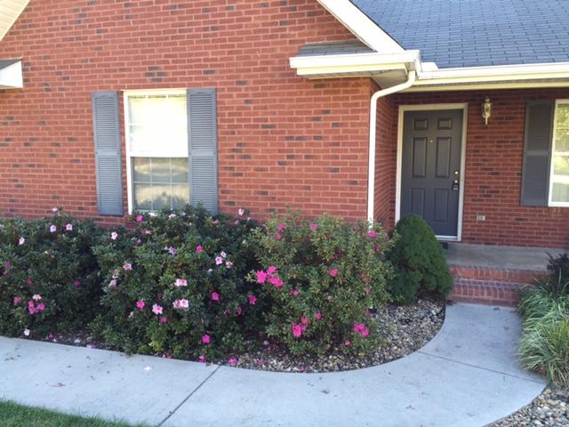 163 Cottonwood Meadow Road Powell, TN 37849 - Photo 2 of 19 Covered front porch