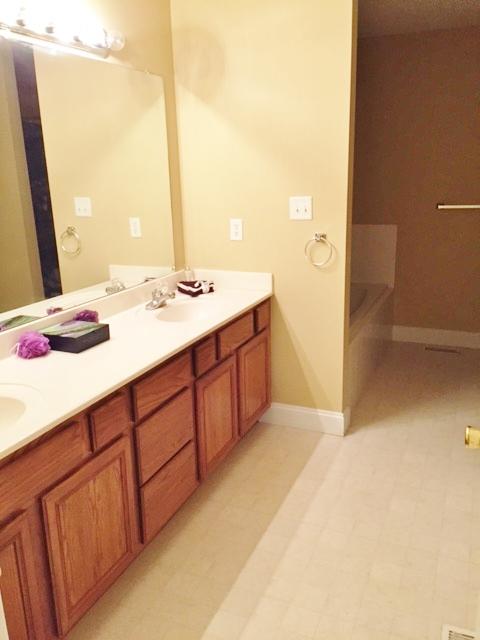 163 Cottonwood Meadow Road Powell, TN 37849 - Photo 12 of 19 Master Bath