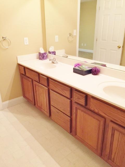 163 Cottonwood Meadow Road Powell, TN 37849 - Photo 14 of 19 Double Vanity