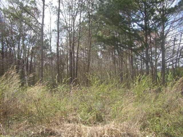 5030 Stateline Road Bowdon, GA 30108 - Photo 1 of 1 a view of forest