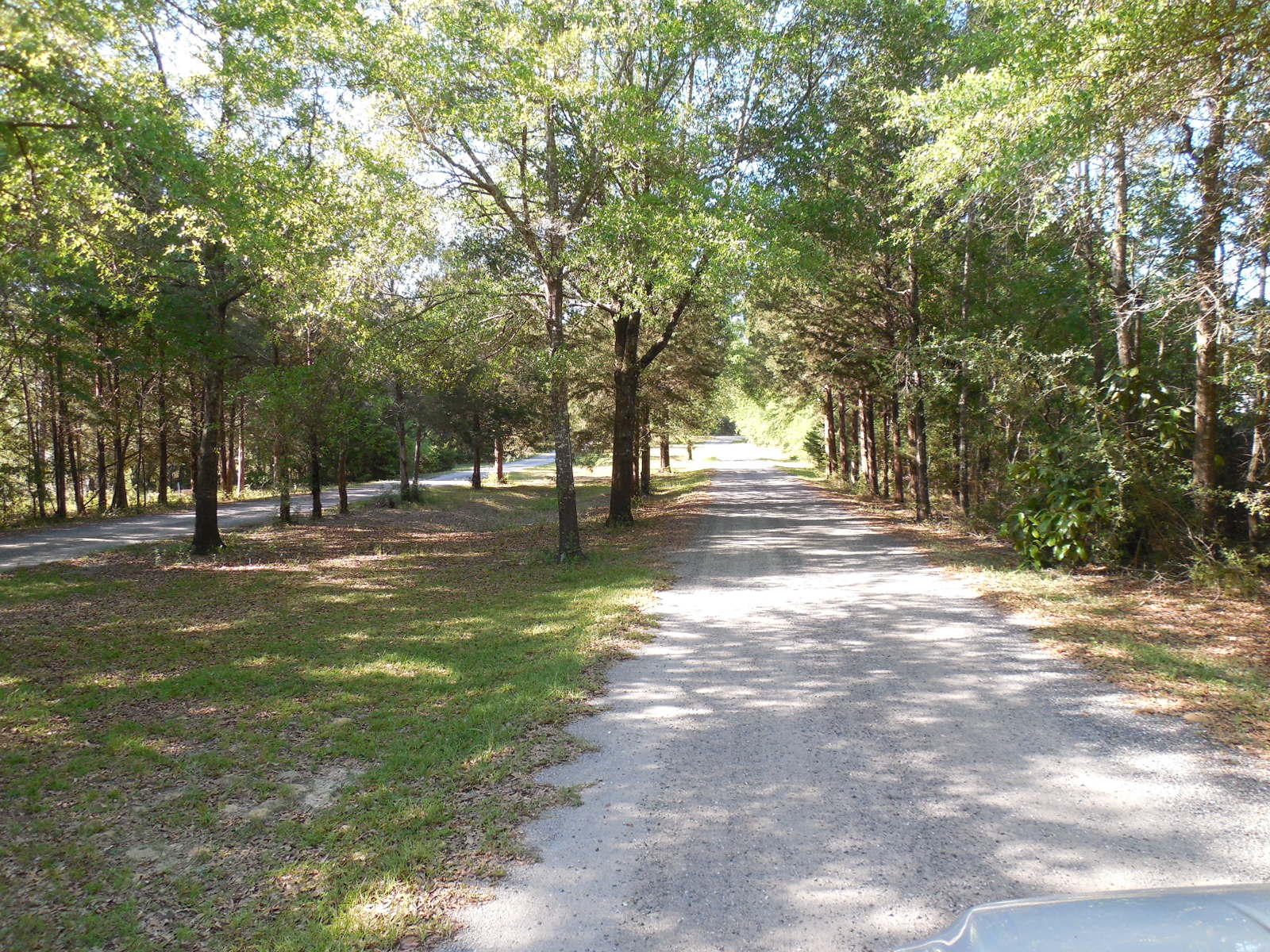 732 Spring Lake Road DeFuniak Springs, FL 32433 - Photo 2 of 44 a view of yard with trees