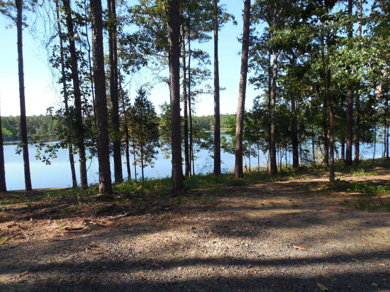 732 Spring Lake Road DeFuniak Springs, FL 32433 - Photo 5 of 44 a view of a park with a tree