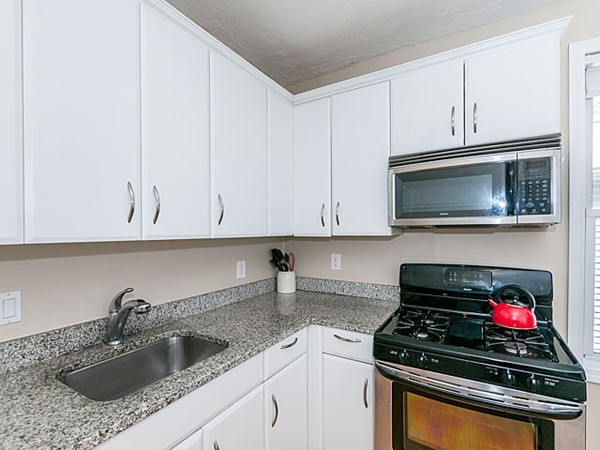 154 Boylston Street, Unit 2 Boston, MA 02130 - Photo 2 of 15
