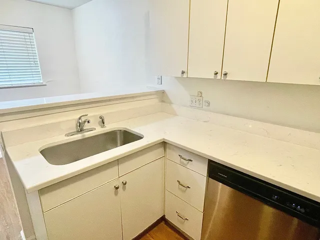 a view of a sink and dishwasher with white cabinets