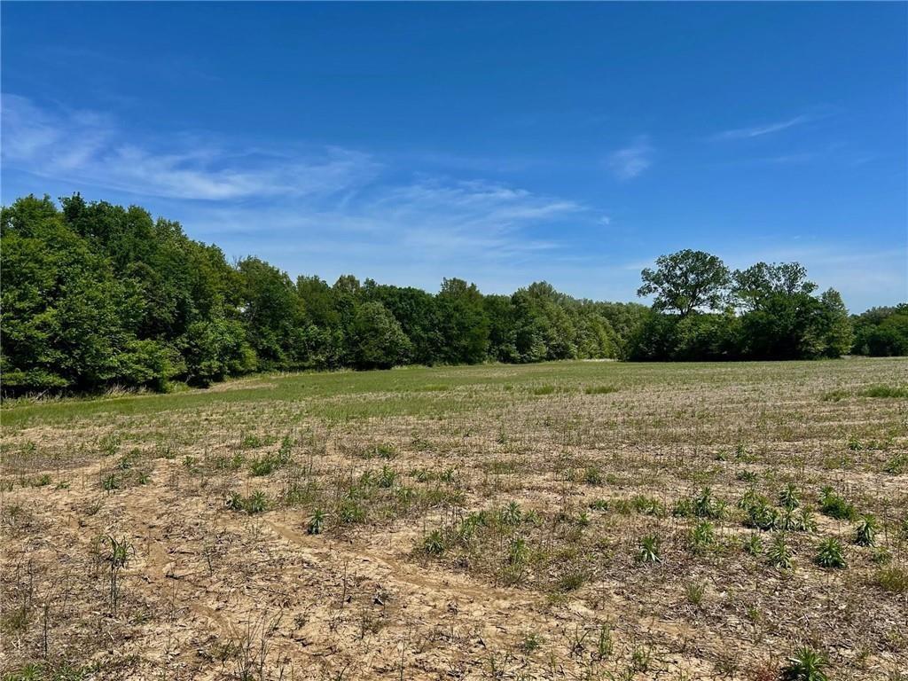 34914 East Colbern Road Lone Jack, MO 64070 - Photo 3 of 22