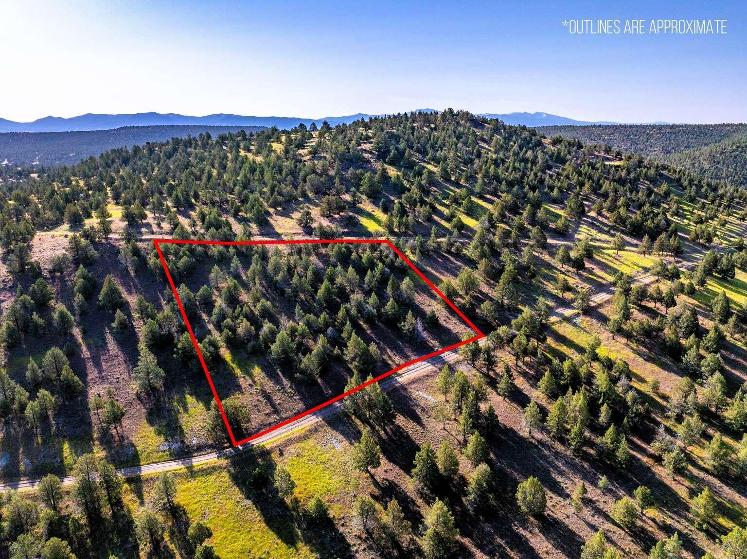 737 Raccoon Lane Alturas, CA 96101 - Photo 9 of 16 Dingman.9