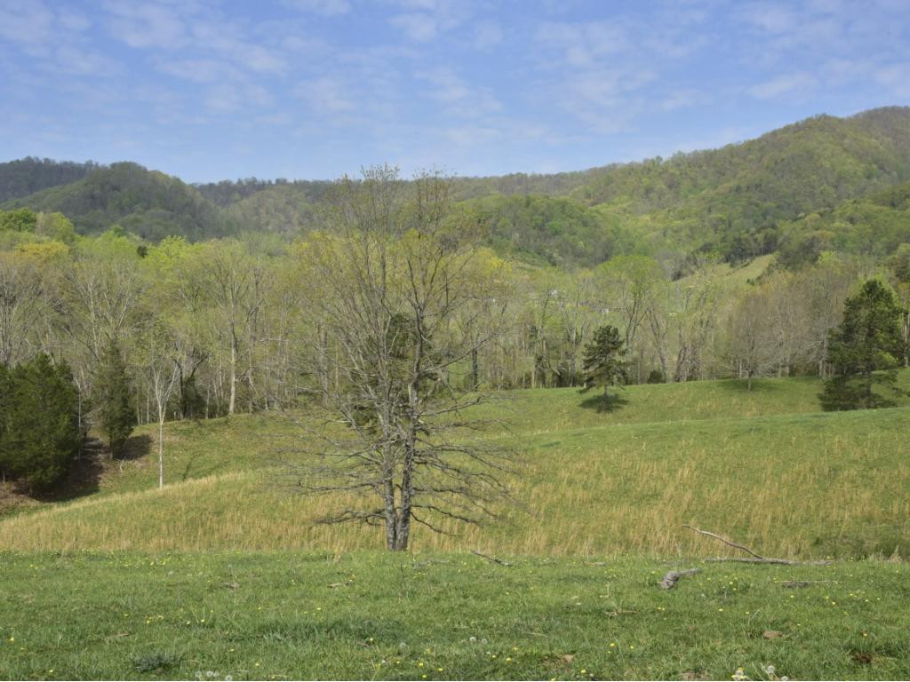 1680 Nelse Roberts Road Chuckey, TN 37641 - Photo 30 of 36 Photo 30