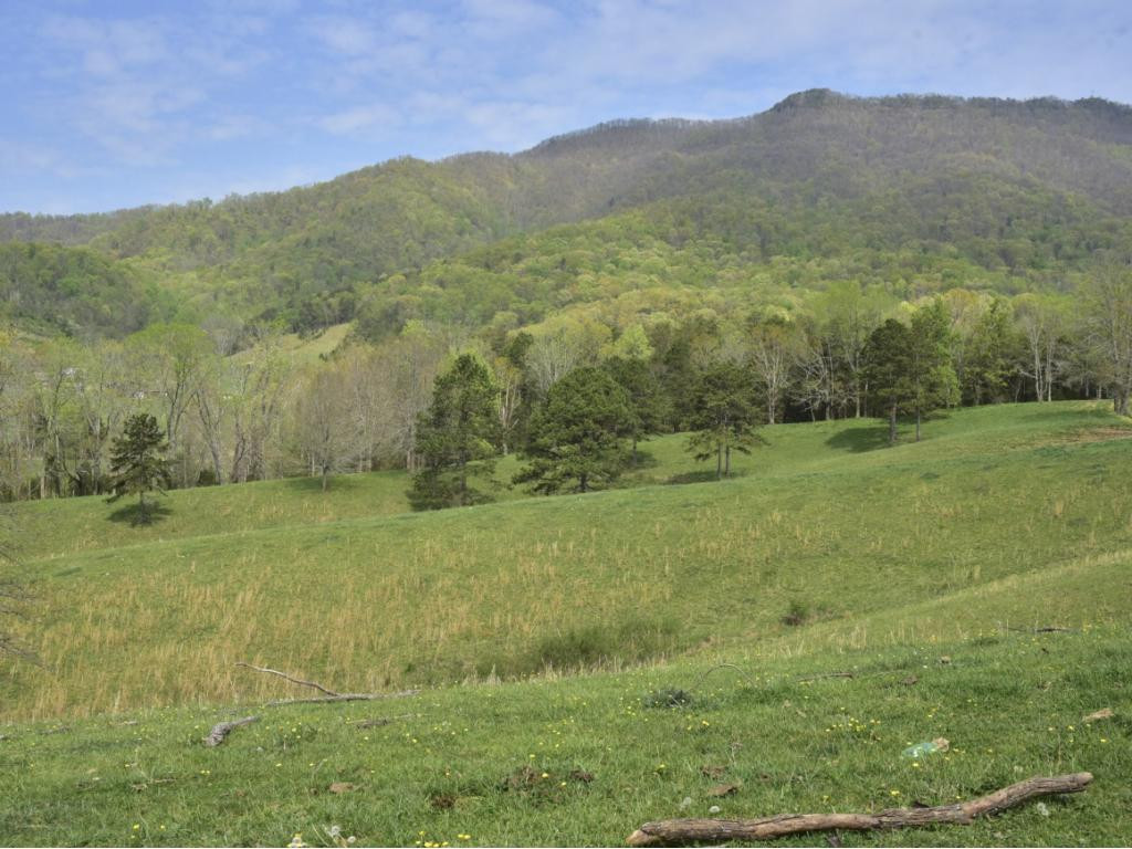 1680 Nelse Roberts Road Chuckey, TN 37641 - Photo 31 of 36 Photo 31