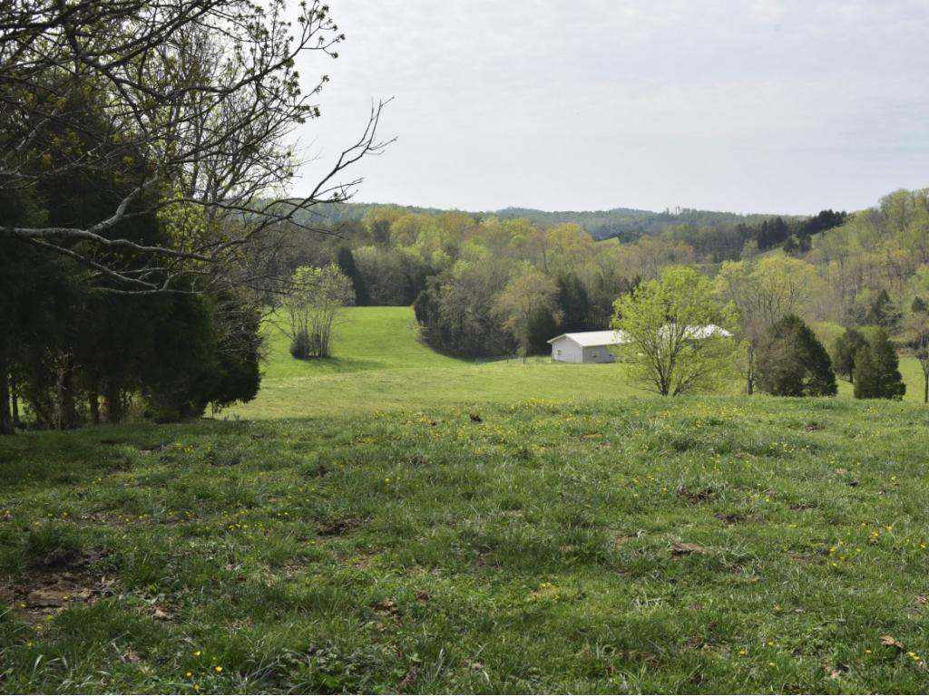 1680 Nelse Roberts Road Chuckey, TN 37641 - Photo 32 of 36 Photo 32
