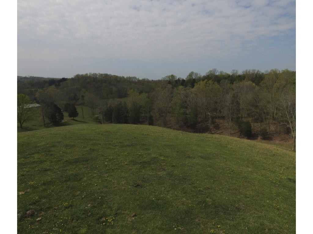 1680 Nelse Roberts Road Chuckey, TN 37641 - Photo 33 of 36 Photo 33