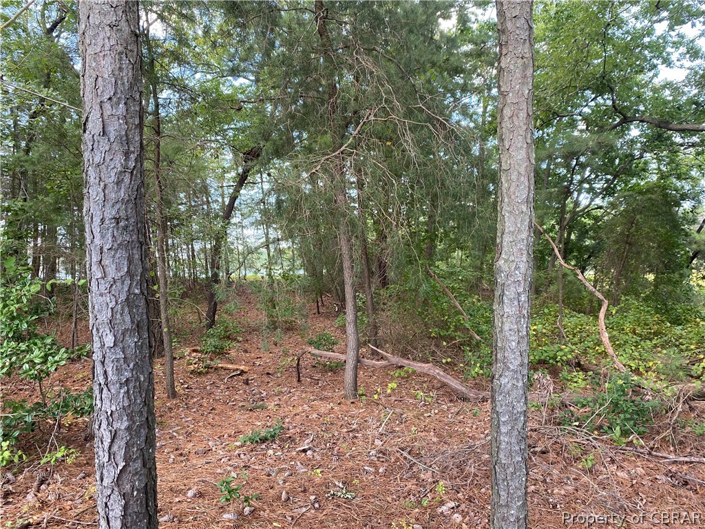 0 Wicomico Point Road Heathsville, VA 22473 - Photo 8 of 9