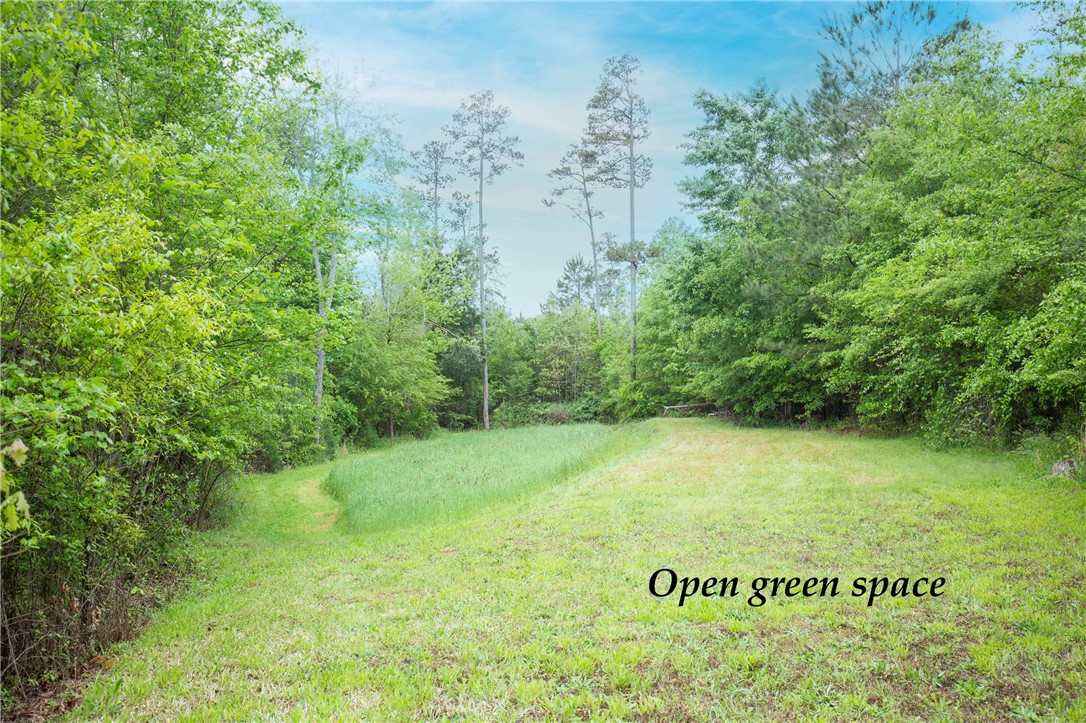 265 State Rd S-37-141 Westminster, SC 29693 - Photo 7 of 37