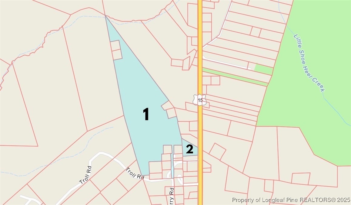 0 Terry Drive Marston, NC 28363 - Photo 1 of 4