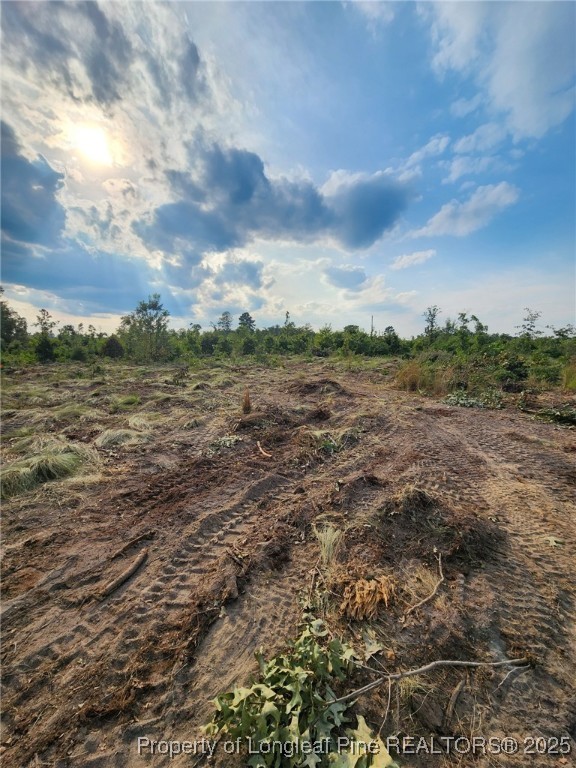 0 Terry Drive Marston, NC 28363 - Photo 2 of 4
