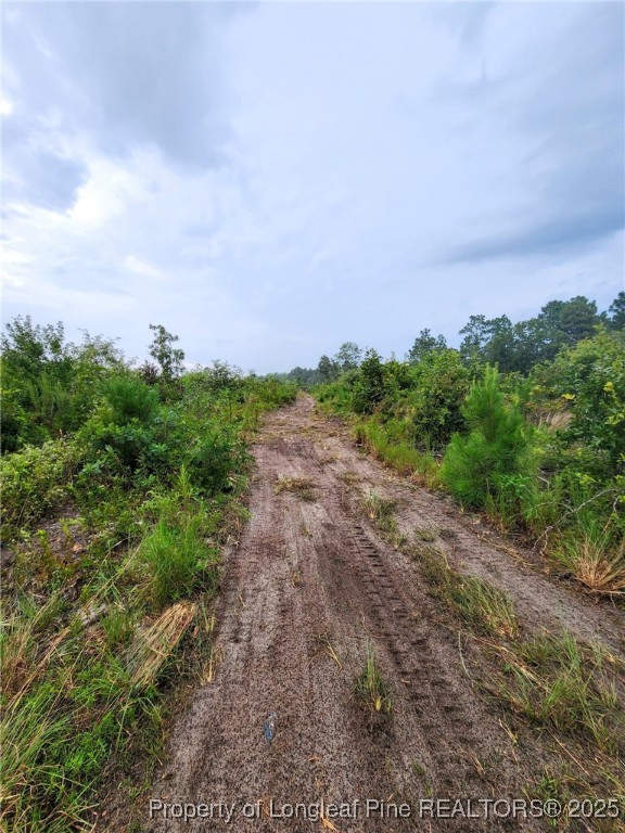 0 Terry Drive Marston, NC 28363 - Photo 3 of 4