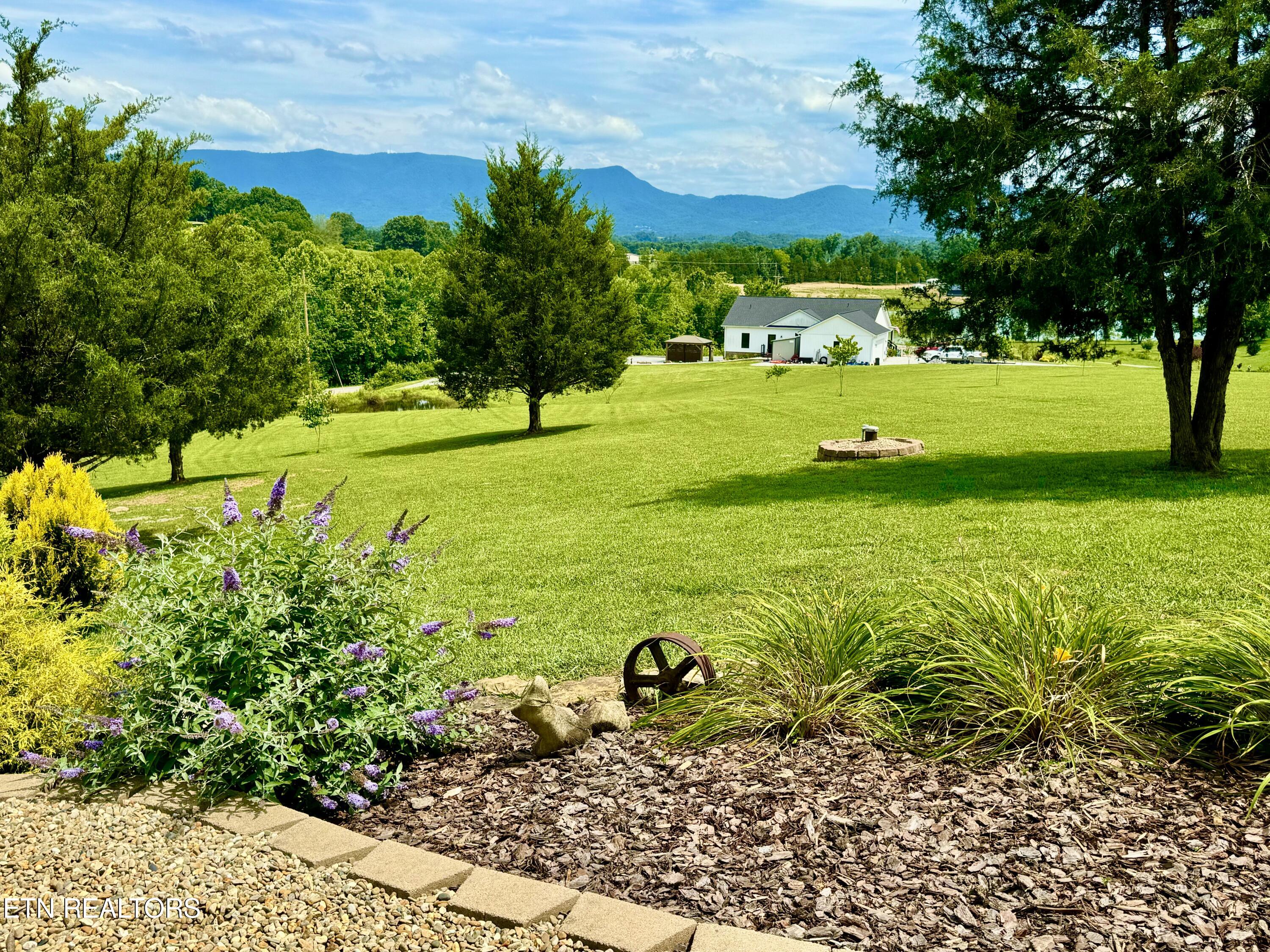 2236 Chestnut Hill Road Dandridge, TN 37725 - Photo 57 of 60 Front Yard