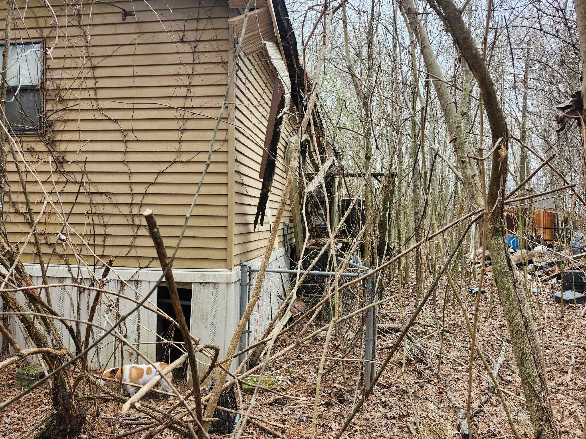 410 Brown Road Drummonds, TN 38023 - Photo 3 of 12 a backyard of a house