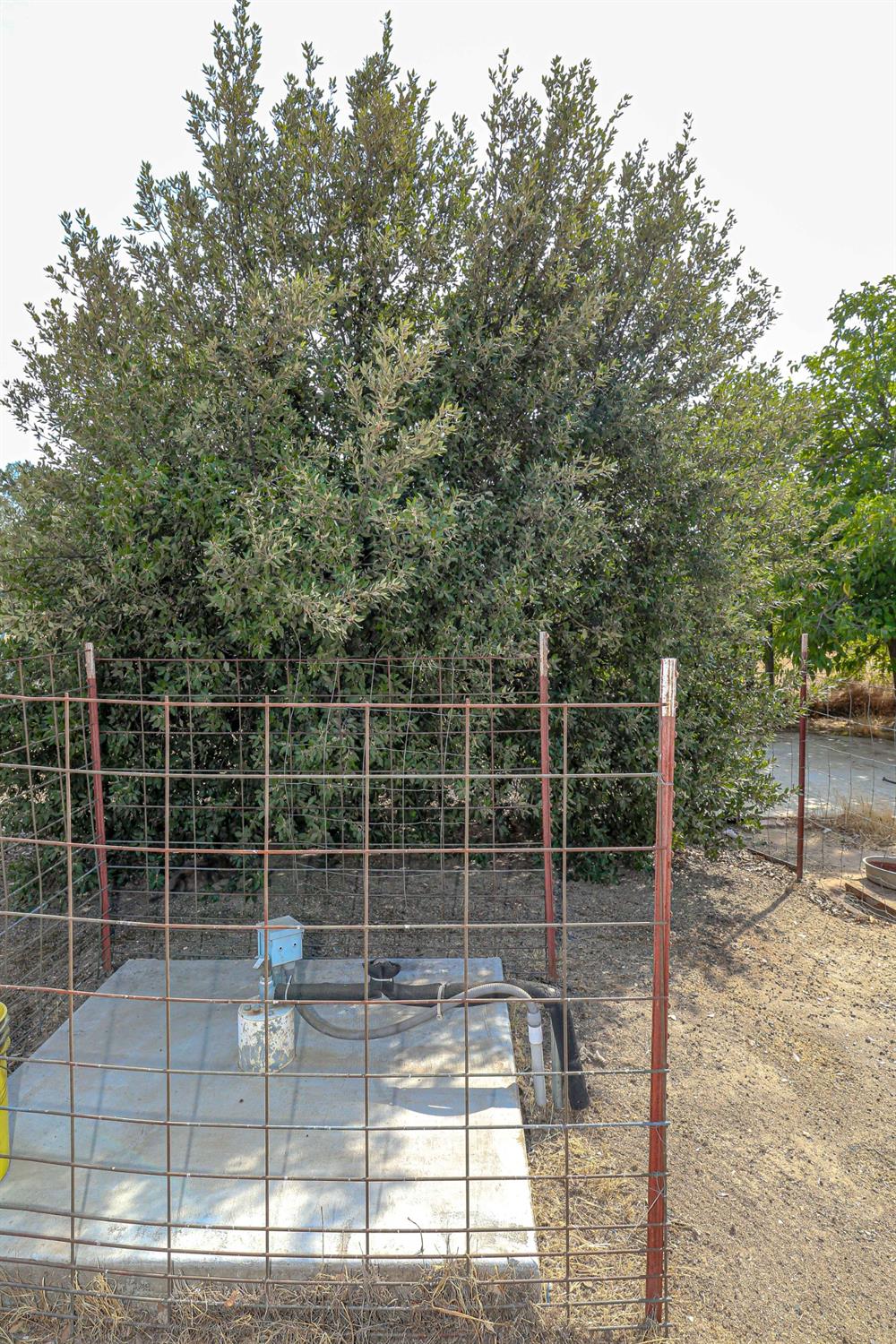 37250 Ave 17 Madera, CA 93636 - Photo 48 of 55