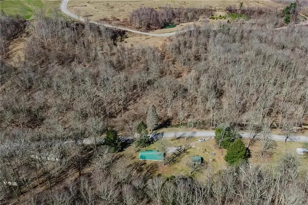 a view of a dry yard