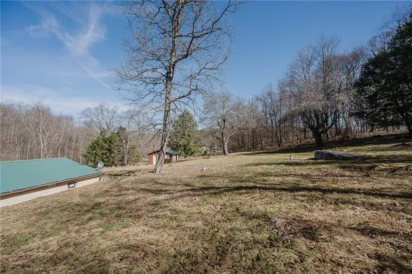 a view of dirt yard with large trees