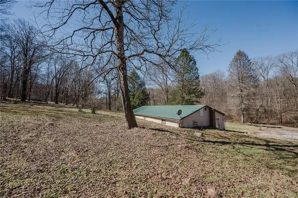 a view of backyard with tree