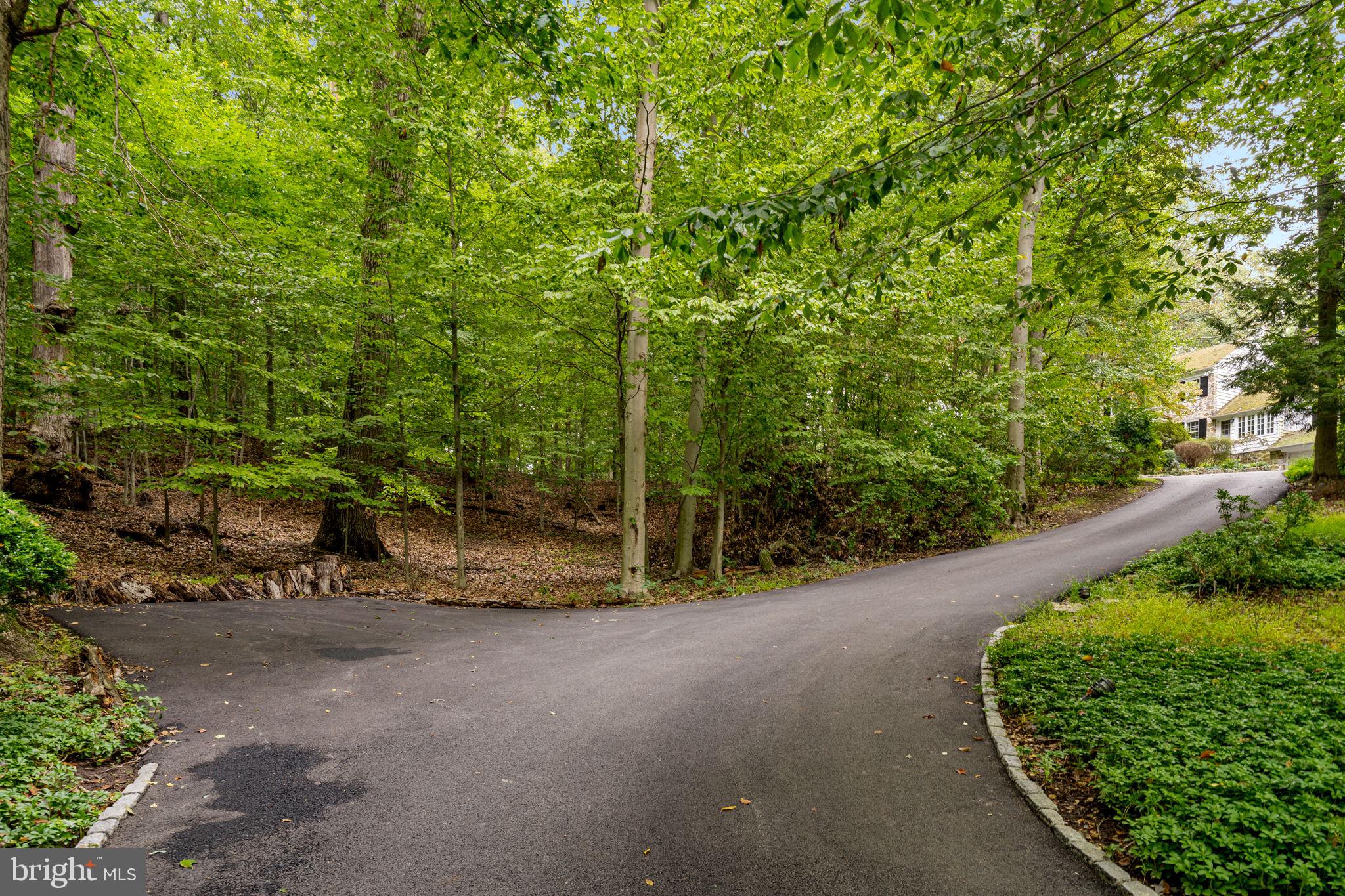 73 Line Road Malvern, PA 19355 - Photo 2 of 44 Long driveway to the house