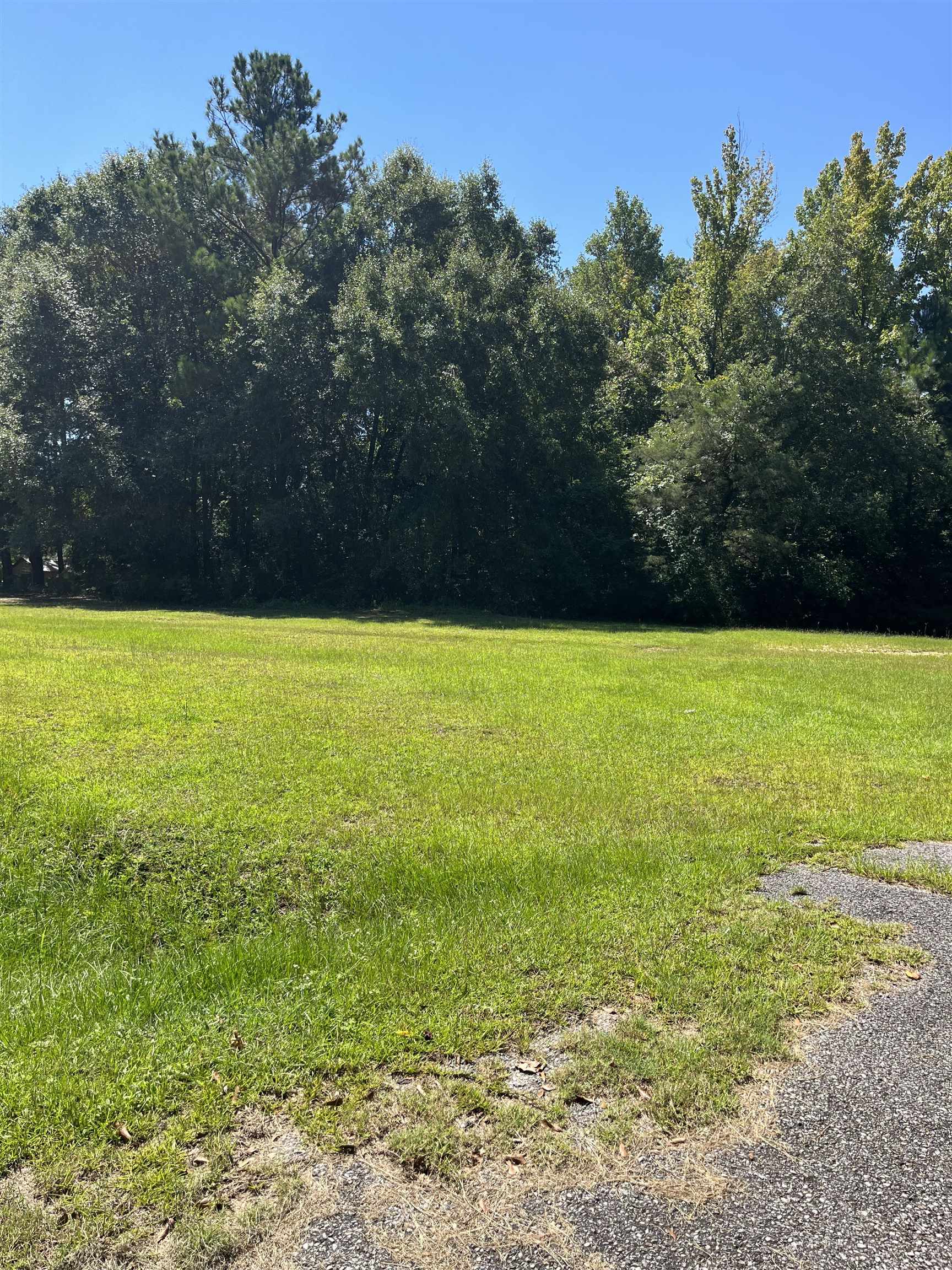 9068 Bryant's Lndg Road Stockton, AL 36579 - Photo 7 of 10 Yard