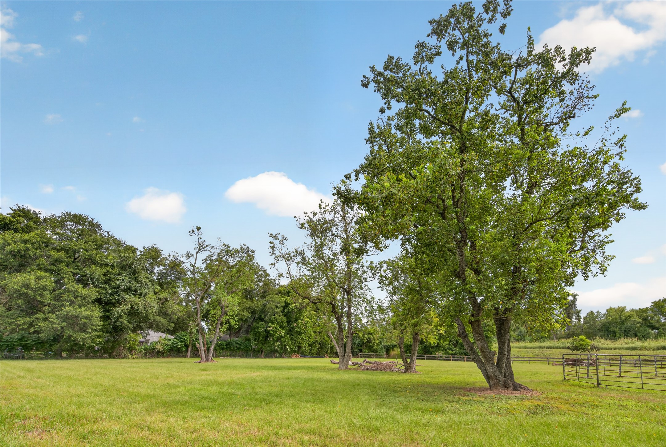 Tbd Michael Wayne Road Rosharon, TX 77583 - Photo 4 of 21 Gallery Image 4